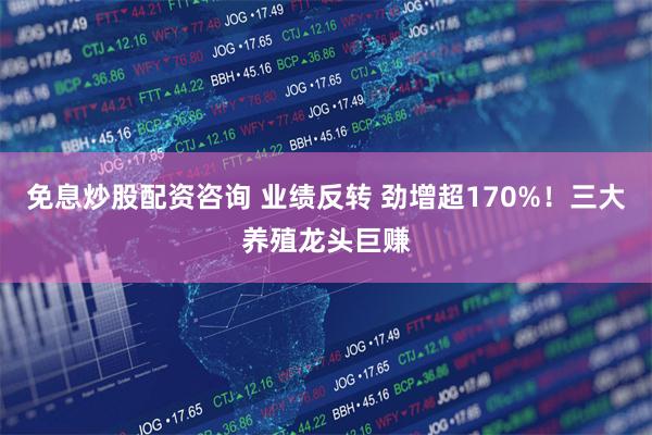 免息炒股配资咨询 业绩反转 劲增超170%！三大养殖龙头巨赚